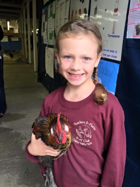 11951982_10153064288173483_1579486960440392544_n