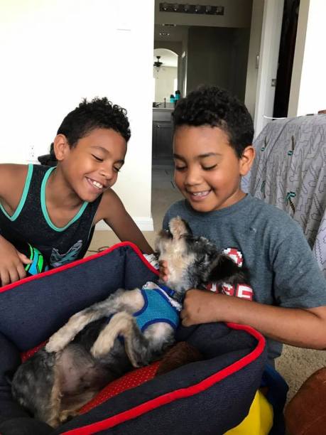 18700078_421859148185551_3329949730308516473_n